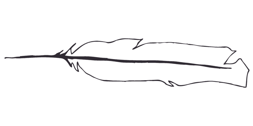 What does finding a white feather mean? - Symbolism of a white feather